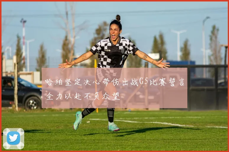哈珀坚定决心带伤出战G5比赛誓言全力以赴不负众望